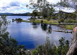 Lake_St_Clair_NP_Tas