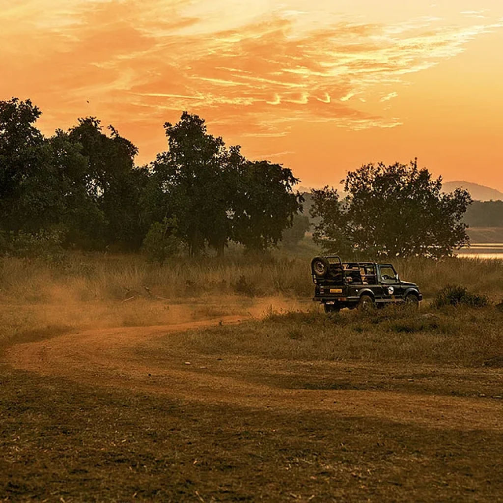 The Untamed Satpura Vistas & Central Highlands Corridor