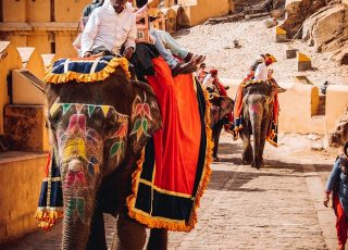 man in white long sleeve shirt riding elephant during daytime