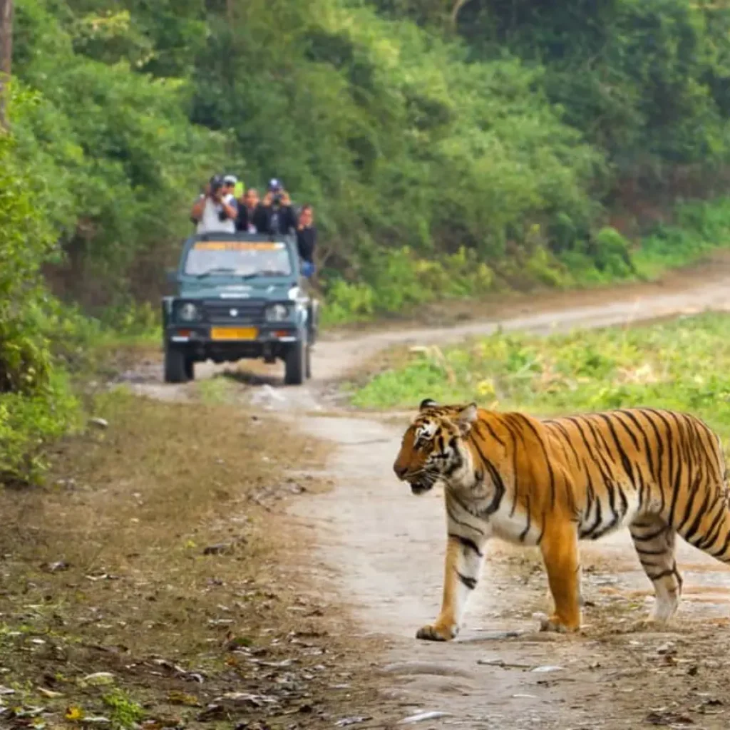 jim corbett